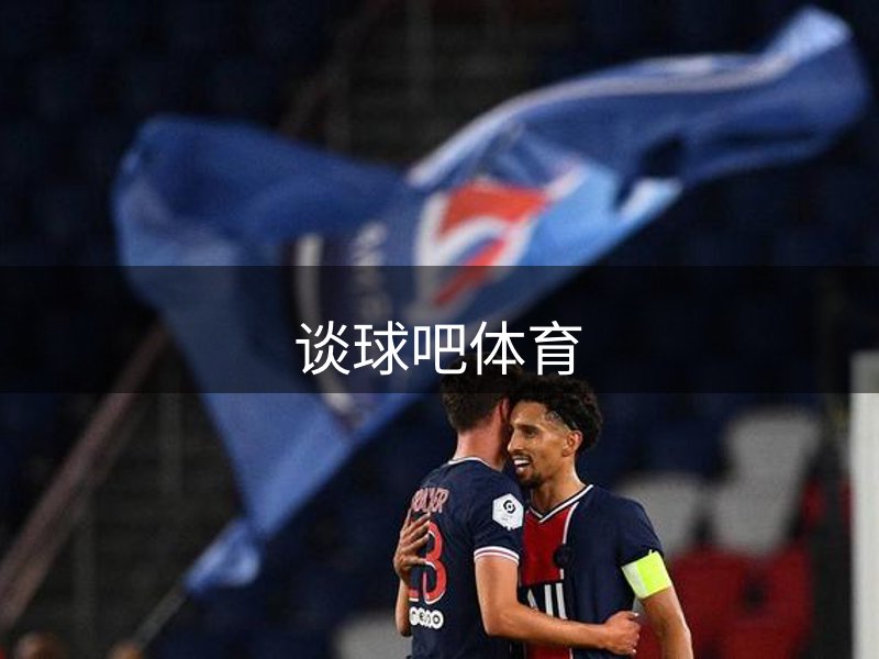 公司定位